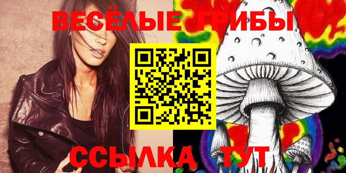 Галлюциногенные грибы GOLDEN TEACHER  Псилоцибиновые грибы MAGIC MUSHROOMS  Кинель  Вход с VPN 