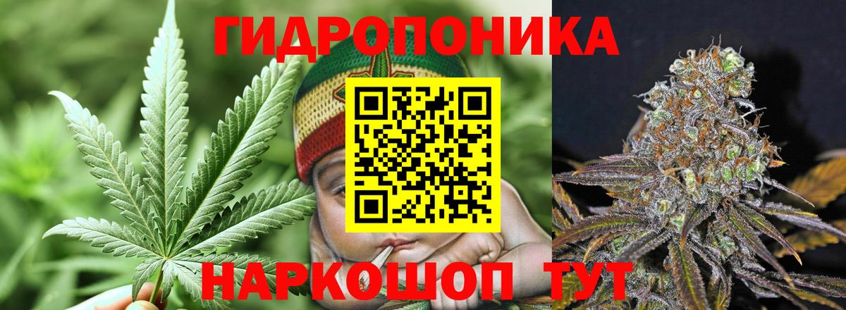 Бошки марихуана White Widow  Вход с VPN  Бошки Шишки план  Кинель  МАРИХУАНА White Widow 